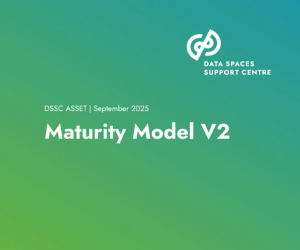 Maturity Model V2 I DSSC